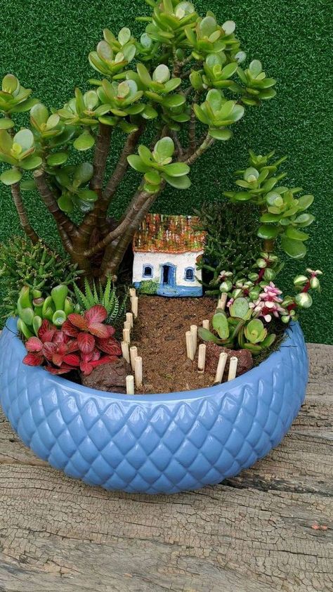 90+ Stone Art Garden Decorations that takes Creativity to a whole new level - Hike n Dip Miniature Garden Ideas Diy, Fairy Garden In A Pot, Miniature Garden Ideas, Miniature Garden Diy, Miniature Garden Design, Mini Cactus Garden, Mini Succulent Garden, Fairy Garden Pots, Indoor Fairy Gardens