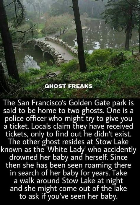 Short Scary Stories, Golden Gate Park San Francisco, Short Creepy Stories, Paranormal Stories, Scary Facts, Creepy Facts, Spooky Stories, Legends And Myths, Creepy Things