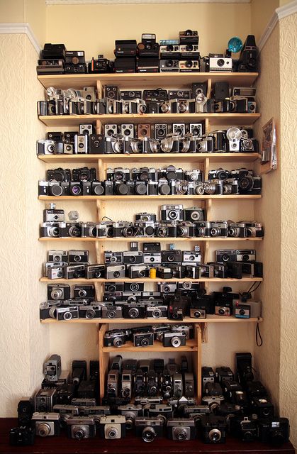 Camera Love Fotocamere Vintage, Photo Graphy, Camera Collection, Antique Cameras, Camera Photos, Old Cameras, Collection Display, Equipment Storage, Creative Spaces