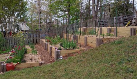 Flowers In Raised Beds, Garden On A Slope, Terraced Vegetable Garden, Terraced Garden, Terrace Garden Ideas, Vegetable Garden Planner, Planner Review, Potager Garden, Veggie Patch