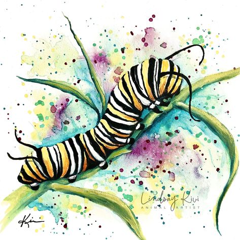 2pc Set Monarch Butterfly Art Prints, Insect Monarch Butterfly Art, Butterfly Watercolor Painting, Painting Clipart, Art Insects, Monarch Butterflies Art, Caterpillar Art, Monarch Caterpillar, Butterfly Makeup, Learn Watercolor Painting