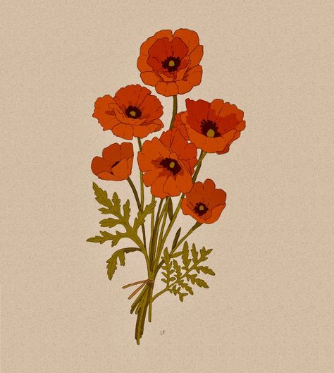 Red poppies tatt commission Poppy Bouquet, Poppy Drawing, 캐릭터 드로잉, Illustration Vintage, Flower Illustration, Poppy Flower, Red Poppies, Botanical Illustration, Maple Leaf Tattoo