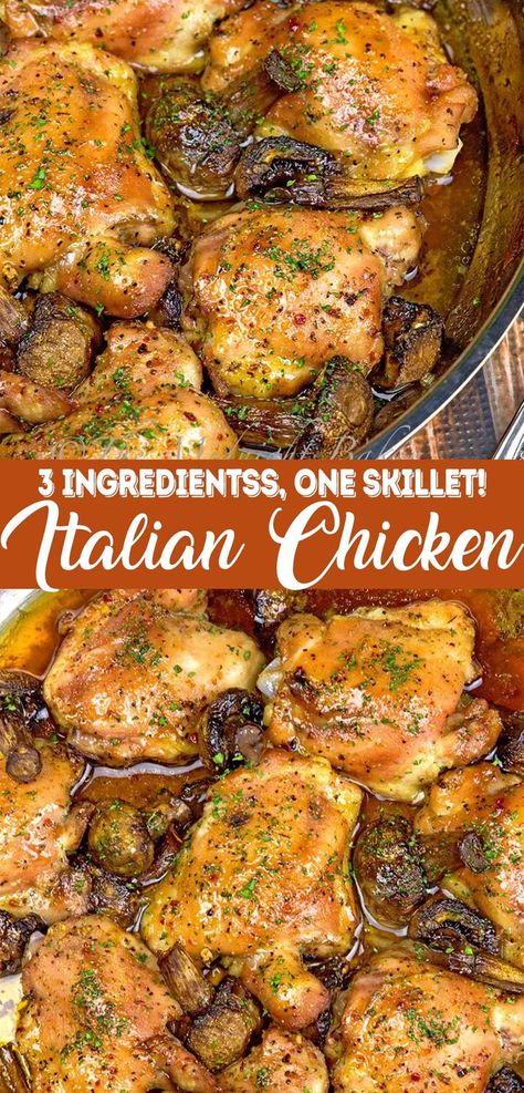 3 Ingredient Italian Chicken Recipe made in one skillet is the perfect family dinner recipe to make on busy weeknights. This chicken dinner is perfect for the whole family and everyone will love it. Italian Chicken Recipes, One Skillet, Favorite Recipes Dinner, Italian Chicken, Family Dinner Recipes, Best Chicken Recipes, Chicken Dishes Recipes, Family Dinners, 3 Ingredient