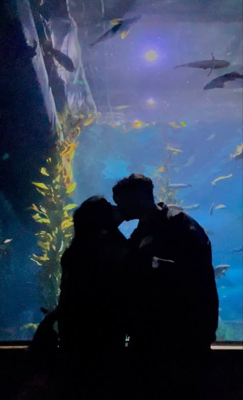 Aquarium date couple picture ideas 🐟🐠 San Francisco #aquarium #aquariumaesthetic #aquariumideas #aquariumwater #aquariumdate #aquariumdateaesthetic #aquariumpictures #aquariumpicturesideas couples goals #coupleportrait #coupleromantic  #sanfrancisco #bayarea  #pictureideas #couple aesthetic #poses  #unique Aquarium Date, Couple Picture Ideas, Date Couple, Aquarium Photos, Aquarium Pictures, Fun Couple Activities, Dream Dates, Aesthetic Poses, I Will Love You