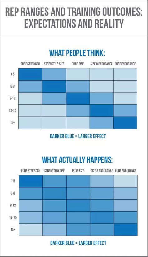 background information Rep Ranges, Fact Or Fiction, Basketball Moves, First Principle, Expectation Vs Reality, Workout Chart, Key To Happiness, Background Information, Easy Diy Art