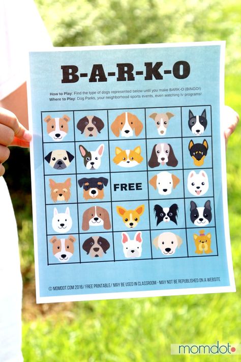 Dog Charity Ideas, Dog Daycare Event Ideas, Dog Park Party, Dog Event Poster, Dog Show Ideas, Dog Fundraiser Ideas, Dog Festival Ideas, Pet Event Ideas, Doggy Daycare Activities