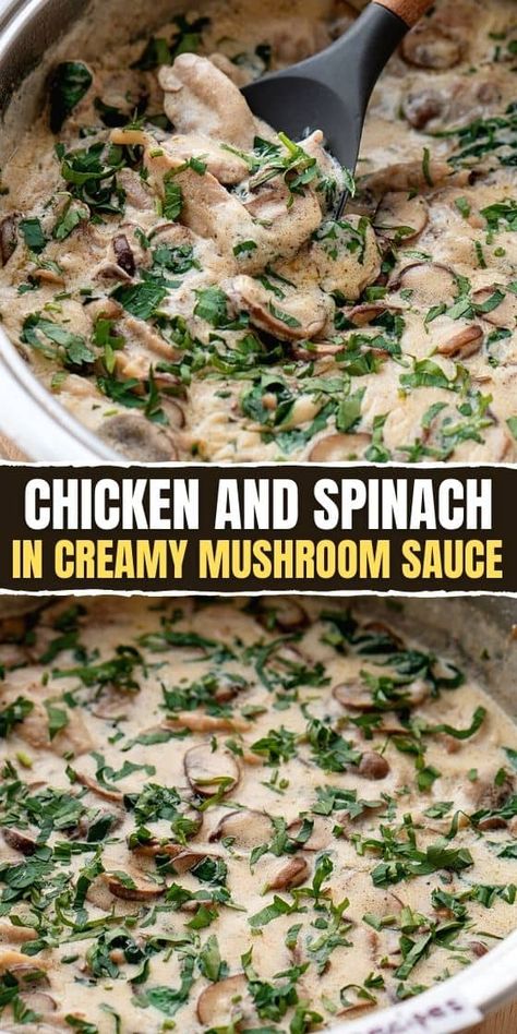 Chicken and Spinach in Creamy Mushroom Sauce Creamy Chicken Spinach Mushroom Recipes, Creamy Spinach Mushroom Chicken, Chicken Mushrooms Spinach Recipes, Chicken Spinach Mushroom, Chicken And Spinach Casserole, Easy Spinach Recipes, Everyday Desserts, Creamy Spinach Sauce, Delish Dinners