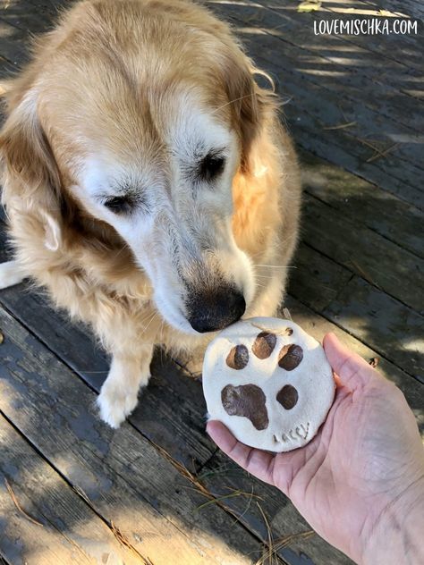 Dog Ornaments Diy, Diy Paw Print, Paw Print Keepsake, Home And Family Crafts, Diy Cinnamon, Salt Dough Recipe, Paw Ornament, Paw Print Ornament, How To Make Dough