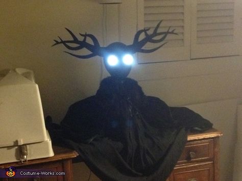 Otgw Beast Costume, Over The Garden Wall Beast Costume, Creative Diy Costumes, 2015 Halloween Costumes, Styrofoam Head, Beast Costume, Cartoon Costumes, Costume Works, Fantasy Worlds