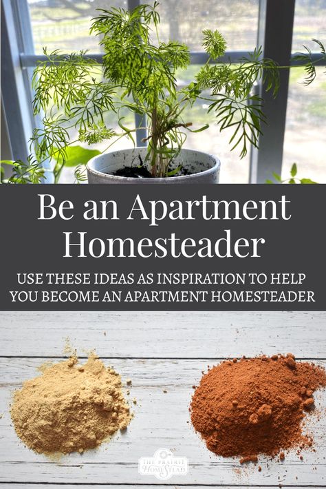 How to be an Apartment Homesteader • The Prairie Homestead Black Women Homesteading, Permaculture, How To Be Crunchy, Indoor Homesteading, Homesteading For Beginners Diy, Homesteading In An Apartment, Gothic Homestead, Homesteading Apartment, Vegan Homestead