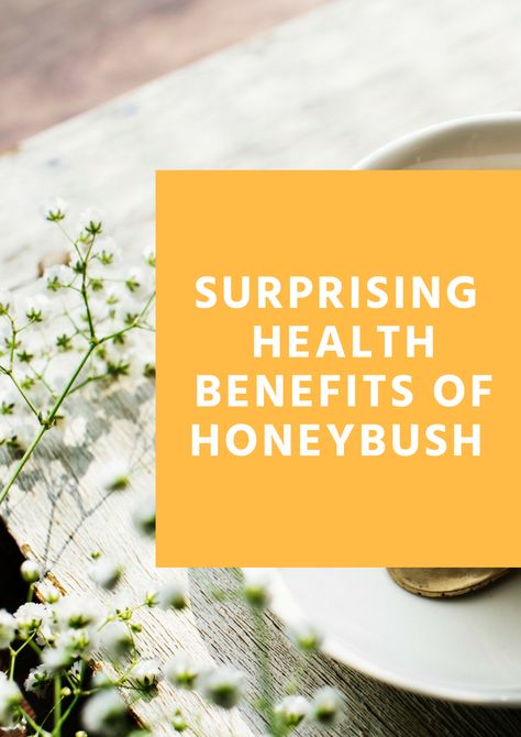 Honey Health Benefits, Honeybush Tea, Tea Health, Lemon Health Benefits, Honey Benefits, Tea Health Benefits, Health Tea, Herb Tea, Tea Benefits