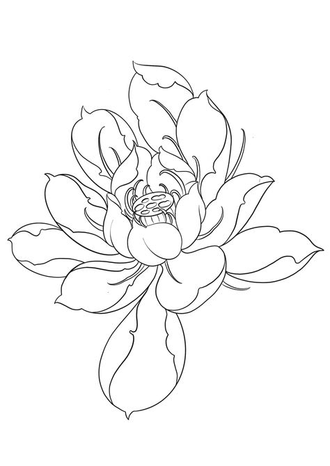 Water Lily Stencil, Murakami Flower Drawing, Water Lilly Tattoo Stencils, Lilly Stencil, Lotus Flower Drawing Design, Lily Flower Outline, Lotus Tattoo Drawing, Lotus Flower Tattoo Stencil, Hibiscus Outline