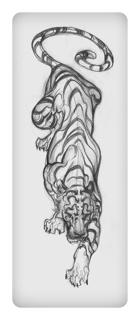 Tato Flash, Tiger Sketch, Kunst Tattoos, Celtic Tattoos, Tiger Tattoo, A Tiger, Tree Tattoo, Skull Tattoos, Trendy Tattoos