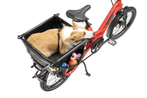 Soft Crate Mini: Dog & Pet Carrier for Ebikes Dog Bike Carrier, Dog Bike, Biking With Dog, Mini Dog, Pet Crate, Dog Gear, Medium Sized Dogs, Dog Carrier, Pet Carriers