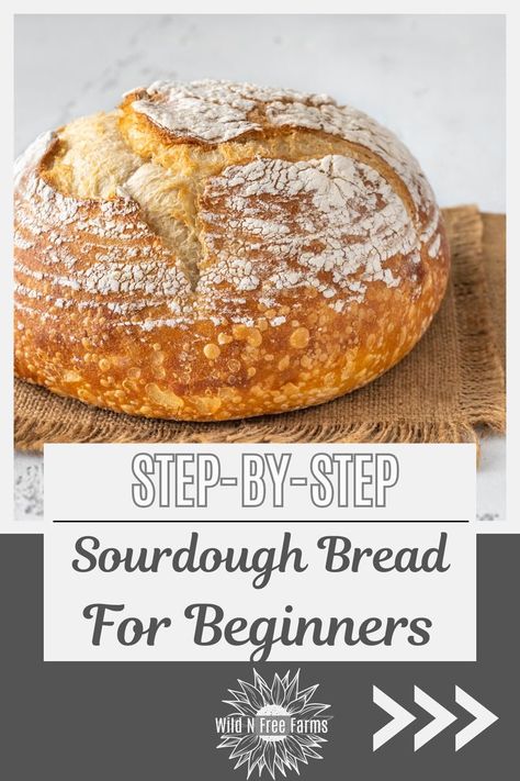 easy sourdough recipe for beginners Bread For Beginners, Homemade Sourdough Bread Recipes, Beginners Bread Recipe, Easy Sourdough Bread Recipe, Homemade Baked Bread, Making Sourdough Bread, Homemade Sourdough Bread, Sourdough Starter Recipe, Healthy Bread