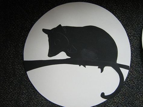 Opossum Pumpkin Carving, Possum Silhouette, Opossum Silhouette, Possum Art, Pumpkin Carving Painting, Wildlife Silhouette, Christmas Woodland Animals, Fall Animals, Good Tattoo