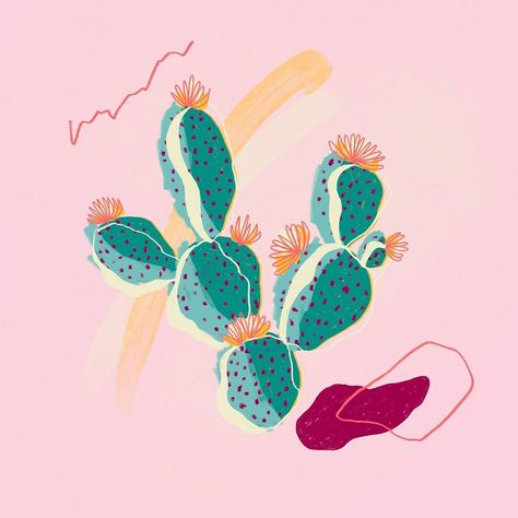 Maile Lani (@alyxiaoliviformis) • Instagram photos and videos Illustrator Ideas, Cactus Printable, Cactus Poster, Cactus Photography, Flower Places, Desert Bloom, Cactus Illustration, Journal Project, Vintage Cowgirl