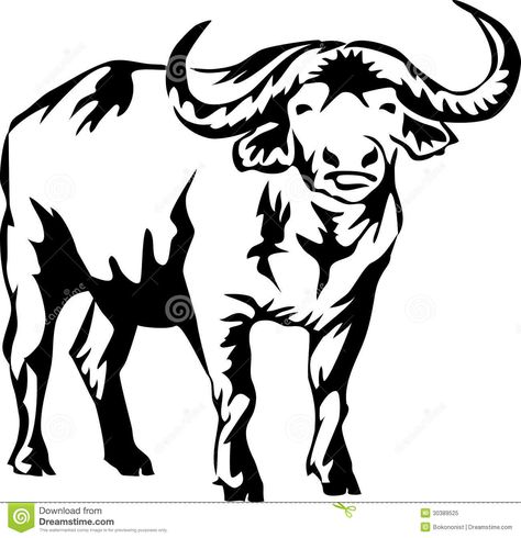 Illustration about Black and white illustration of the water buffalo. Illustration of bush, horn, african - 30389525 Buffalo Clipart, Buffalo Illustration, Buffalo Animal, African Buffalo, Animal Stencil, Art Sketches Doodles, Mermaid Drawings, Banksy Art, Drawing Heads