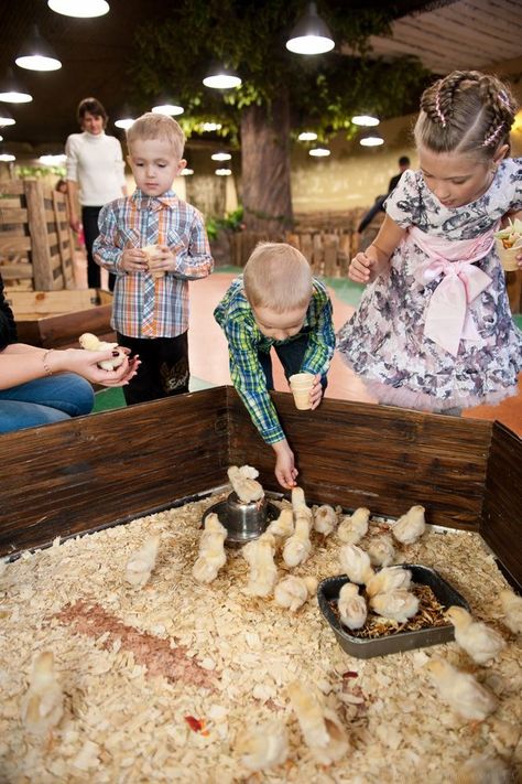 Zoo For Kids, Agritourism Farms, Farm Lessons, Pet Cafe, Smart Farm, Zoo Park, Farm School, Farm Day, Mini Cows