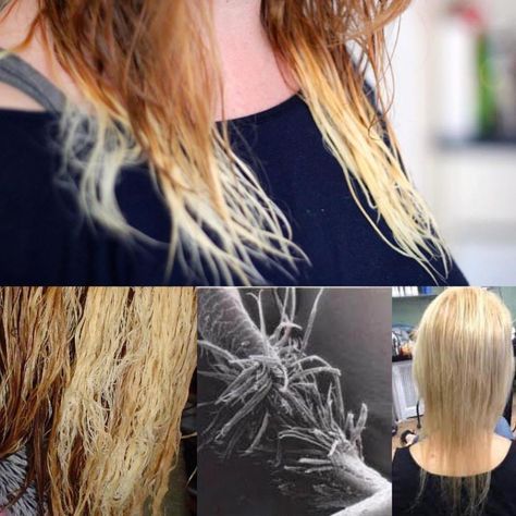 How To Fix Fried Hair (There Are Effective Solutions) Bleach Damaged Hair, Overprocessed Hair, Damaged Hair Diy, Fried Hair, Extremely Damaged Hair, Bleached Hair Repair, Restore Damaged Hair, Hair Repair Treatments, Burnt Hair