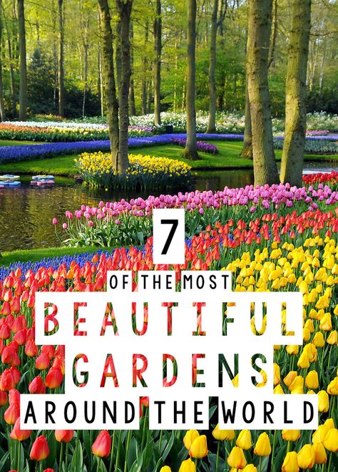 Most Beautiful Gardens In The World, Huge Flower Garden, Best Botanical Gardens In Us, Famous Gardens Of The World, Holidays Destinations, Blonde Abroad, Garden Escape, Bush Garden, Gardens Of The World