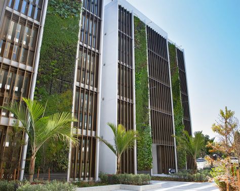 Green Wall Architecture, Green Wall Facade, Vertical Facade, Green Building Architecture, Social Housing Architecture, Parking Building, Landscaping Projects, Stone Wall Design, Green Facade