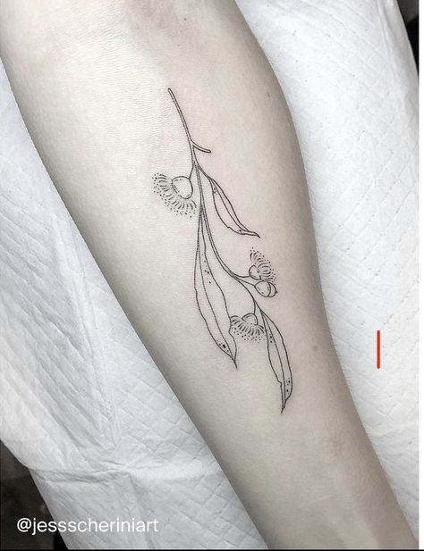 Tattoo Australian Flowers, Eucalyptus Line Tattoo, Fine Line Wattle Tattoo, Australian Eucalyptus Tattoo, Wattle Fine Line Tattoo, Australian Wattle Tattoo, Australian Fine Line Tattoo, Gumleaf Tattoo, Banksia Tattoo Fine Line