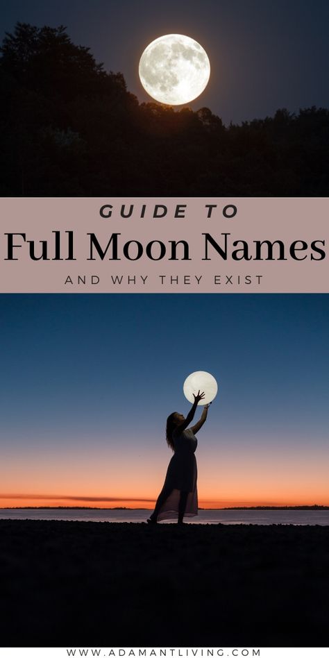 Full Moon Names How To Make Shampoo, Moon Hunters, Full Moon Names, Sturgeon Moon, Next Full Moon, Moon Names, Angel Spirit, Intuitive Empath, Lunar Calendar