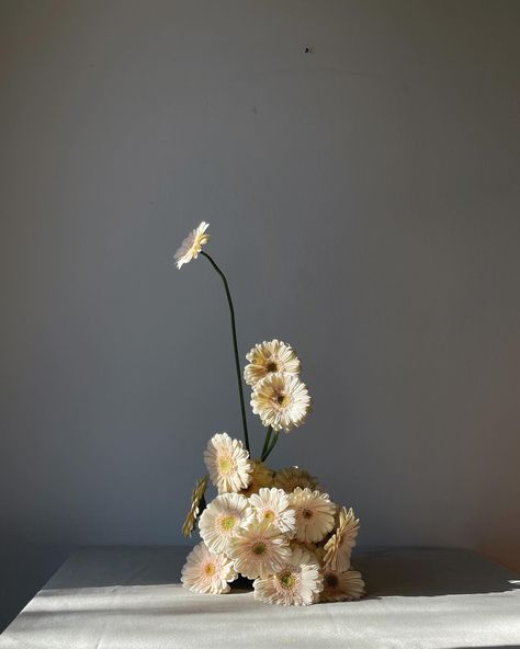 — a study on Gerberas and shapes… featuring a special guest in the last picture ✨ Minimalist allure in full bloom. One-type-of-flower arrangements: clean lines + contemporary charm. From gran en masse displays to delicate settings, each stem, petal and shape is pure inspiration. #gerbera #pinkgerbera #weddingflorals #weddingflorist #italianflorist #tuscanyflorist #tuscanywedding #pugliawedding #venicewedding Minimalistic Flower Arrangements, Gerbera Flower Arrangements, Minimal Flower Arrangements, Gerbera Arrangement, Sympathy Flower Arrangements, Minimalist Flower Arrangement, Picture Minimalist, Vase Flower Arrangements, Gerbera Bouquet