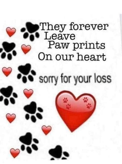 Pet Sympathy Quotes, Losing A Pet Quotes, Pet Memorial Picture Frame, Pet Condolences, Dog Sympathy Card, Dog Poems, Southern Comfort Food, Loss Of Pet, Sympathy Messages