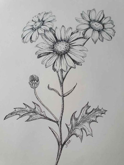 Flower Drawing Step By Step, Daisy Flower Drawing, Flower Drawing Ideas, Daisy Drawing, A Daisy Flower, Simple Flower Drawing, Plant Sketches, Easy Flower Drawings, Flower Drawing Tutorials