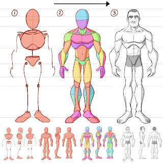 Learning drawing principles: May 2019 Mitch Leeuwe, Character Turnaround, Cartoon Body, Zbrush Tutorial, Anatomy Models, Anatomy Tutorial, Character Model Sheet, Body Anatomy, Anatomy Drawing