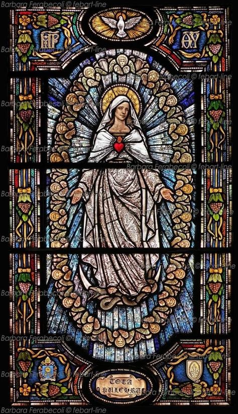 Catholic Church Stained Glass, Christian Imagery, Stained Glass Windows Church, Catholic Wallpaper, Church Aesthetic, Virgin Mary Art, Catholic Decor, Stained Glass Church, Cathedral Architecture