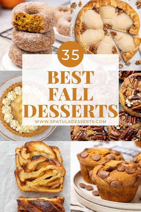 35 Best Fall Desserts collection. Best Fall Desserts, Salted Caramel Chocolate Tart, Pumpkin Bundt Cake Recipes, Pumpkin Spice Donut, Pumpkin Custard, Fall Desserts Easy, Fall Cakes, Homemade Apple Pies, Desserts For A Crowd