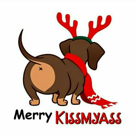 Christmas Dachshund, Dachshund Art, 강아지 그림, Christmas Card Art, Dog Vector, Dachshund Christmas, Funny Dachshund, Merry Christmas Png, Stock Art