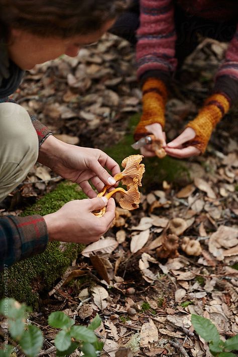 Permaculture, Country Life, Mushroom Foraging, Herbst Bucket List, Mushroom Cottage, Wild Food, In The Forest, Farm Life, In The Woods