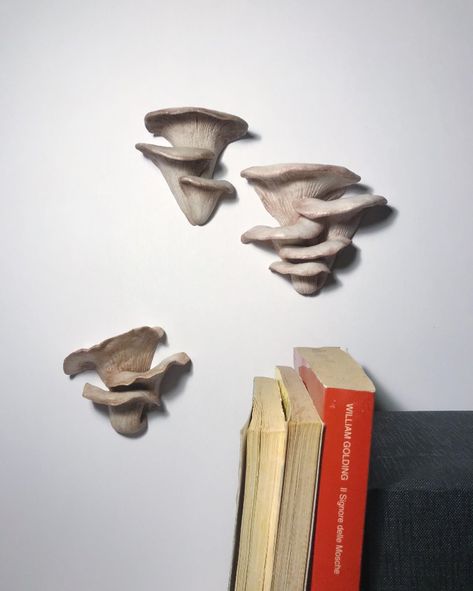 Clay Sculpture Wall Art, 3d Mushroom Painting, Air Dry Clay Mushroom Wall Decor, Shelf Mushroom Art, Ceramic Mushroom Wall Art, Mushroom Sculpture Art, Mushroom Wall Light, Mushroom Ceramics Pottery, Mushroom Wall Sculpture