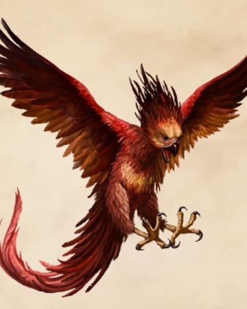 Phoenix | Harry Potter Wiki | FANDOM powered by Wikia Harry Potter Creatures, Famous Vampires, Phoenix Harry Potter, Harry Potter Wiki, Beast Creature, Harry Potter Tattoos, Ancient Mythology, Hogwarts Mystery, Phoenix Tattoo