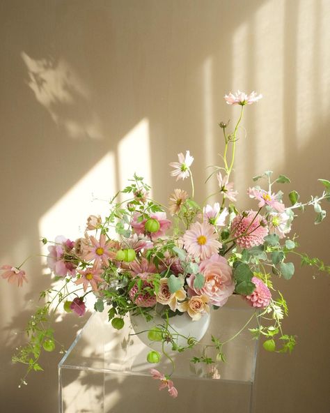 SF Bay Area Florist | Cindy (@pond.floralstudio) • Instagram photos and videos Pink Floral Table Arrangements, Cosmos Floral Arrangement, Light Pink Fall Wedding, Early Spring Bouquet, Light Pink Flower Arrangements, Light Pink Centerpieces, Cosmos Flowers Aesthetic, Cosmos Apricotta, Cosmos Wedding Bouquet