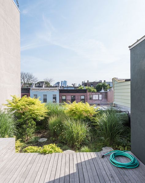 Up top, a verdant green roof of native grasses, wildflowers and fruits creates an oasis. Pergola Shade Diy, Covered Backyard, Roof Garden Design, Living Roofs, Underground Homes, Roof Architecture, Patio Roof, Wood Patio, Terrace Design