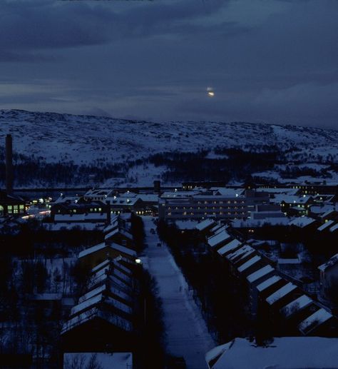 Alamy 21 of 25 Darkness falls over the arctic town of Kirkenes, Norway. Kirkenes, Nature, Arctic Aesthetic Dark, Arctic Aesthetic, Kirkenes Norway, Pnw Fall, Environment Inspiration, Norway Nature, Arctic Tundra