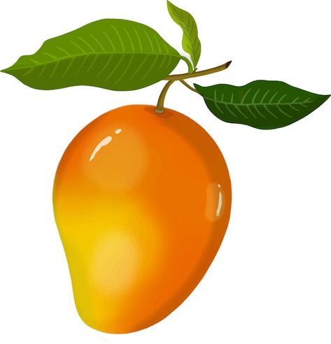 Vector mango vector | Premium Vector #Freepik #vector Mango Vector, Fruit Vector, Vector Photo, Premium Vector, Graphic Resources, Vector Illustration, Mango, Fruit