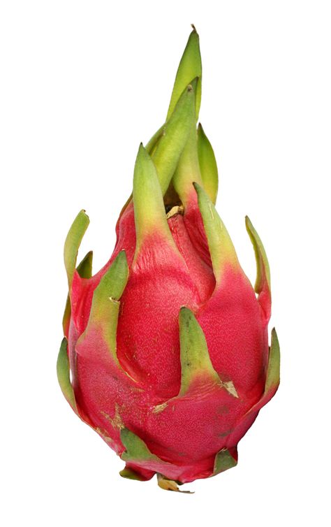 Fruit Reference Photos For Artists, Fruit Drawing Reference, Fruit Reference Photo, Fruits Reference, Dragon Fruit Aesthetic, Dragon Fruit Drawing, Fruit References, Fruit Reference, Drawing Dragon Ball