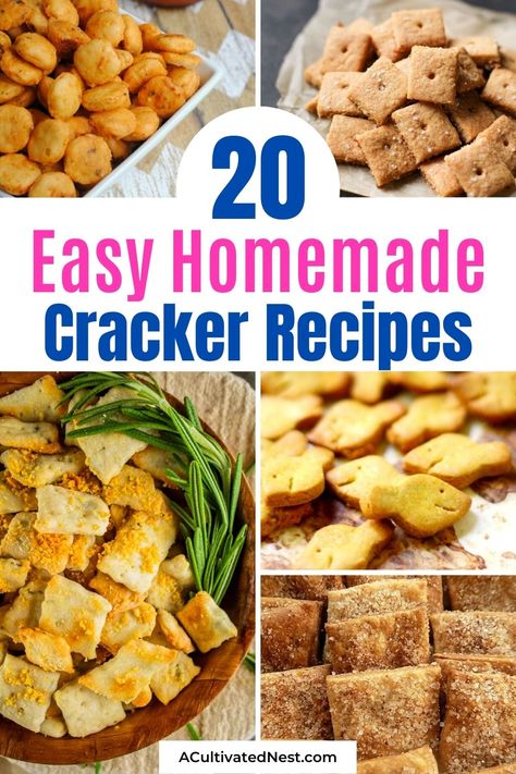 Homemade Pretzel Crackers, Easy Homemade Savory Snacks, Beer Crackers Recipe, Homemade Triscuit Recipes, Cracker Seasoning, Salt Crackers Recipes, Homemade Saltines, Onion Crackers Recipe, Diy Triscuits