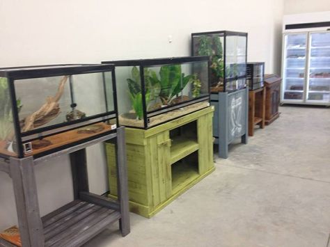 Reptile Tank Stand Ideas, Fishtank Stands, Tank Stand Ideas, Reptile Tank Stand, Snake Breeds, Vivarium Ideas, Dragon Terrarium, Turtle Tanks, Terrarium Stand