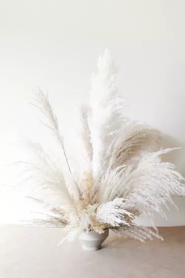 White Fall Decor Ideas, Grass Centerpiece, Deco Champetre, Pampas Grass Bouquet, Pampas Grass Decor, Grass Decor, Thanksgiving Diy, Dried Floral, White Feathers