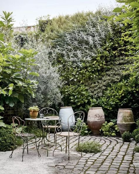 Whether it’s basking in the warmth of the sunshine or withstanding the elements of a wet winter, terracotta has always been a winner in our gardens. It does its job so incredibly well it’s easy to overlook it beyond its practicalities as our plant pots. But terracotta can be the absolute hero of your garden decor scheme with ornate antique olive pots. If venturing out on these warmer days has got you noticing those neglected problem areas of your outdoor space these mighty pots can help to o... Paris Courtyard Garden, Parisian Courtyard Garden, Cobbled Garden, Cobble Garden, Cobbled Patio, Cobbled Courtyard, Parisian Courtyard, Terracotta Exterior, Parisian Garden