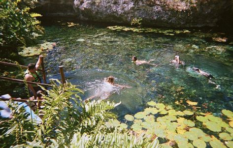 Pond Swimming Aesthetic, Swimming Creek Aesthetic, Fish Swimming Aesthetic, Fish Pond Aesthetic, Pretty Pond Aesthetic, Vintage Foto's, Swimming Pond, By The Lake, Jrr Tolkien