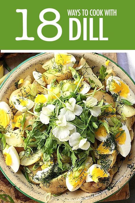 Easy Dill Recipes, What To Use Dill For, What To Do With Extra Dill, Recipes That Use Fresh Dill, Dill Pasta Recipes, Things To Make With Dill, Recipes That Use Dill, Chicken And Dill Recipes, What To Make With Fresh Dill