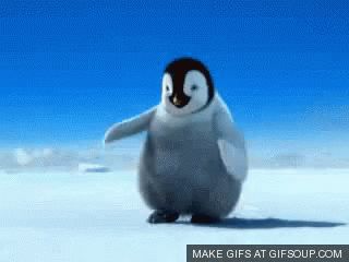 Happy Feet Dancing GIF - HappyFeet Dancing Penguin - Discover & Share GIFs Penguin Videos, Penguin Dance, Happy Penguin, Penguin Species, Cute Good Morning Quotes, Dancing Gif, Happy B Day, Cute Penguins, Funny Reaction Pictures